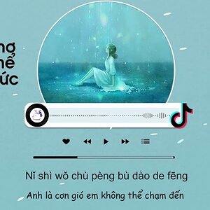 [Vietsub] Giấc Mơ Không Thể Đánh Thức (Full Tiktok) - Thập Nhị! | 醒不来的梦 - 拾贰！